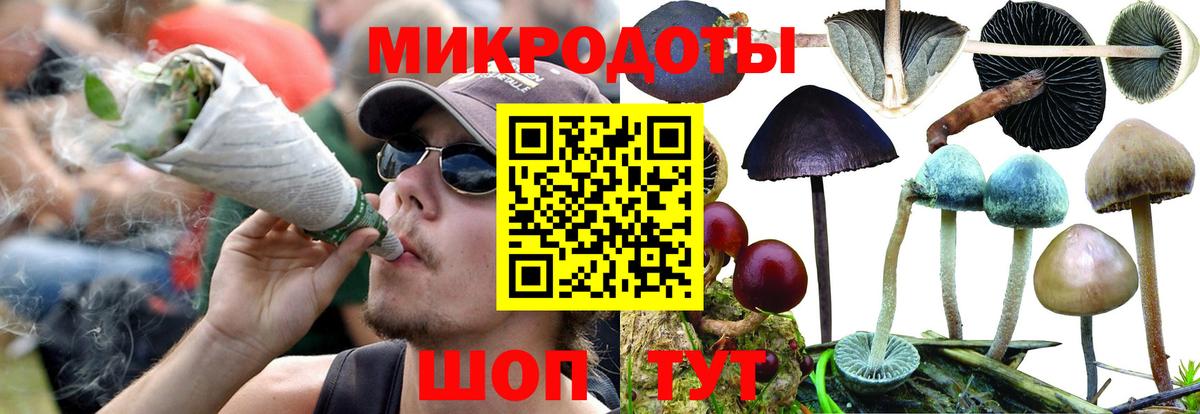Галлюциногенные грибы Cubensis Коркино